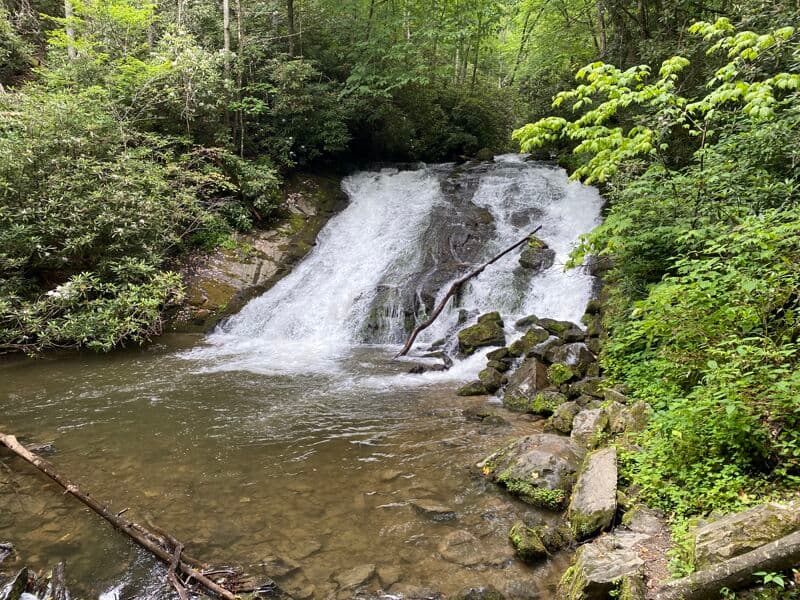 Trip report photo