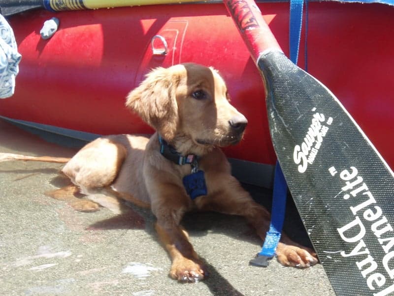 Klamath River Trip