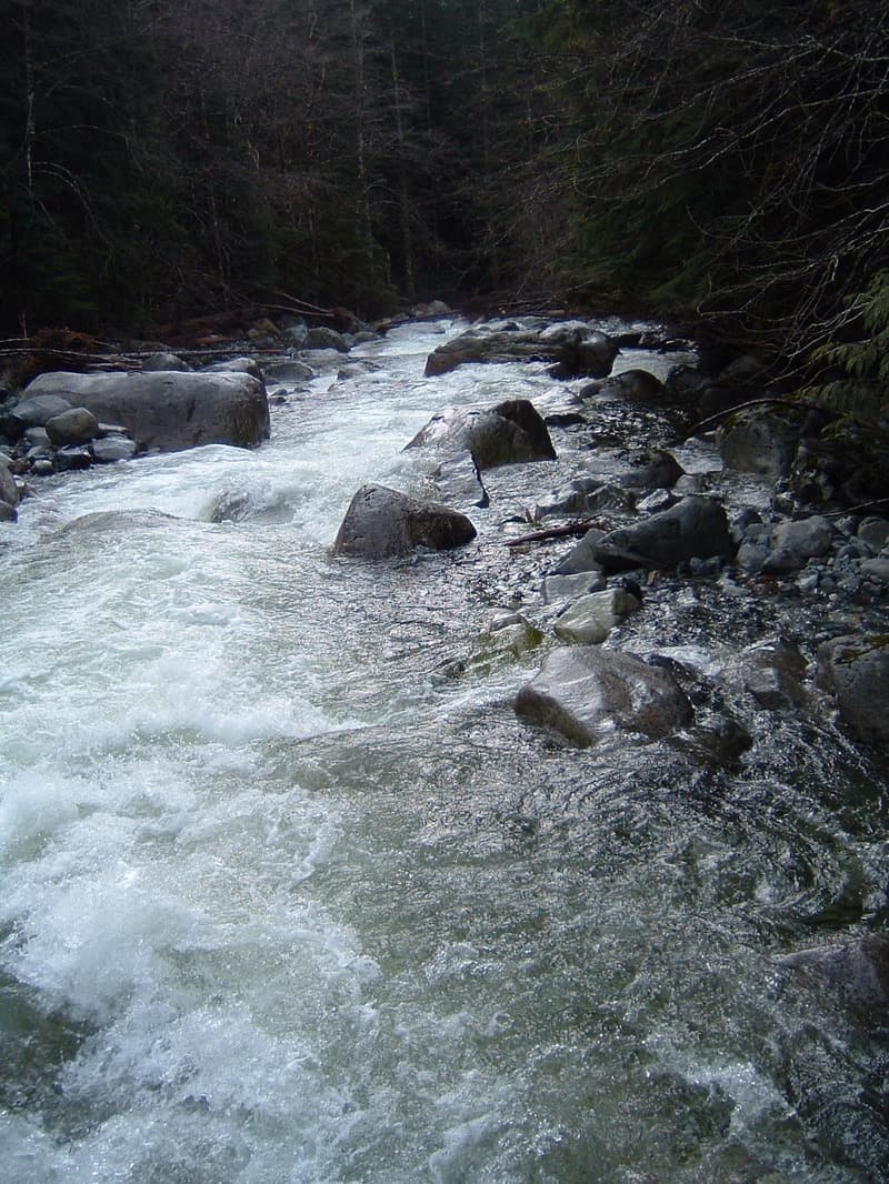 Trip report photo