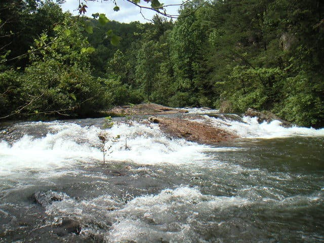 Trip report photo