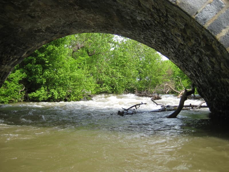 Wagaman Rapid