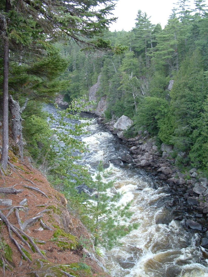 Trip report photo