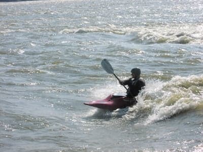 Trip report photo