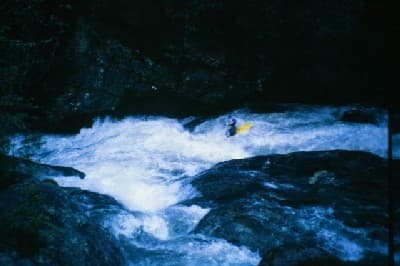 Trip report photo