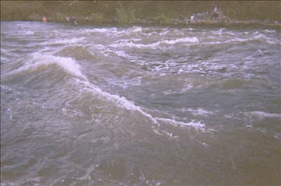 Trip report photo