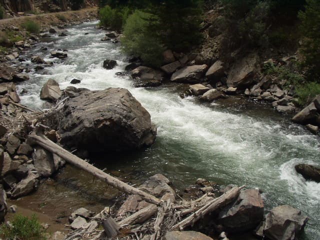 Trip report photo