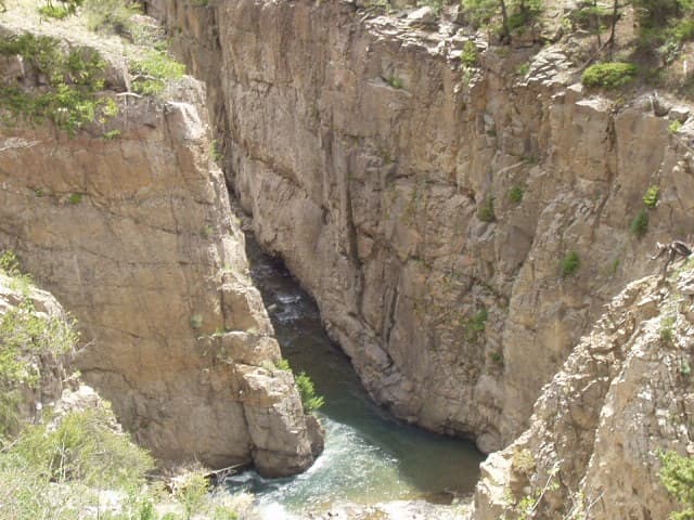 Trip report photo