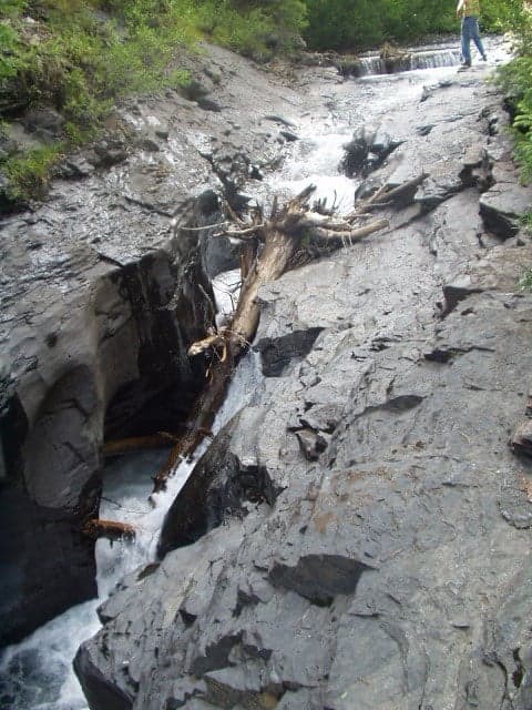 Trip report photo