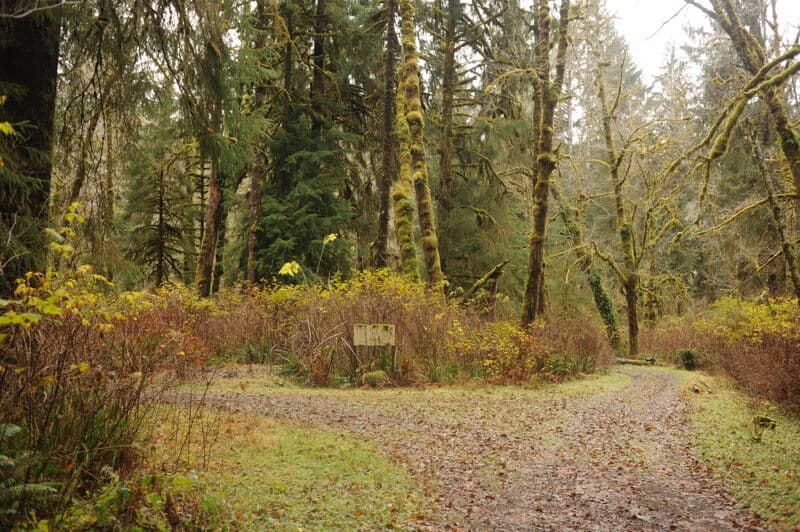 Site Visit Along Forest Road 29