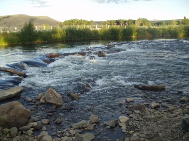 Trip report photo