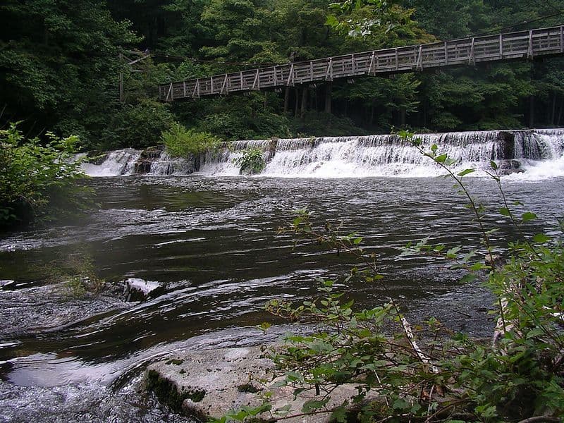 Trip report photo