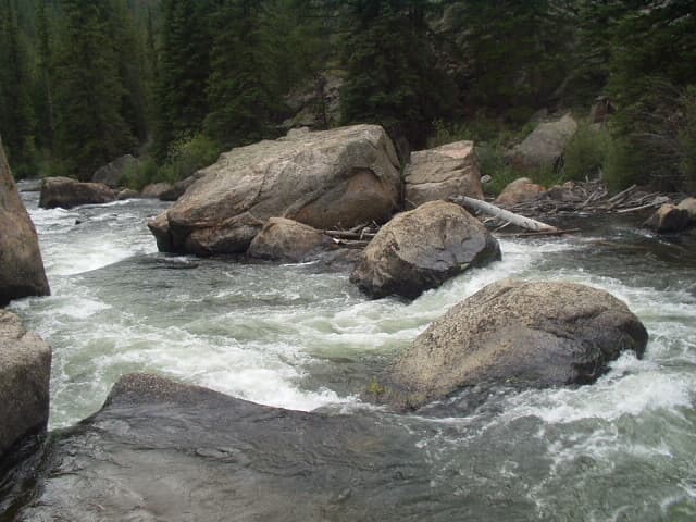 Trip report photo
