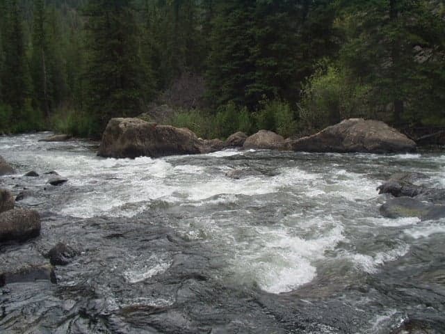 Trip report photo
