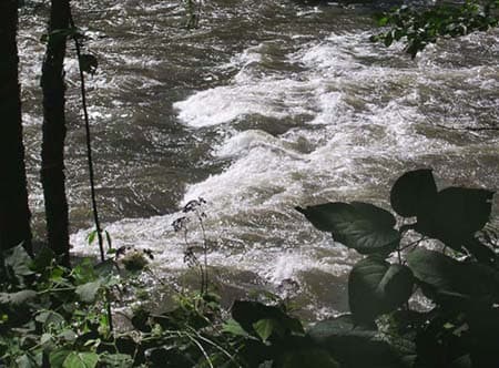 Ledges