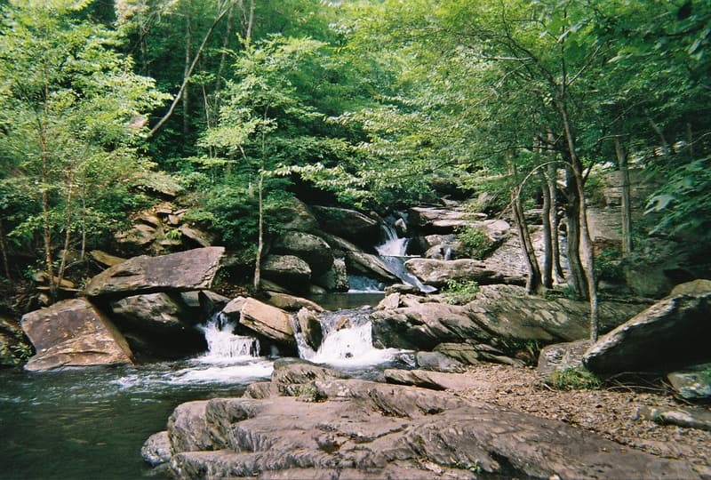 Trip report photo