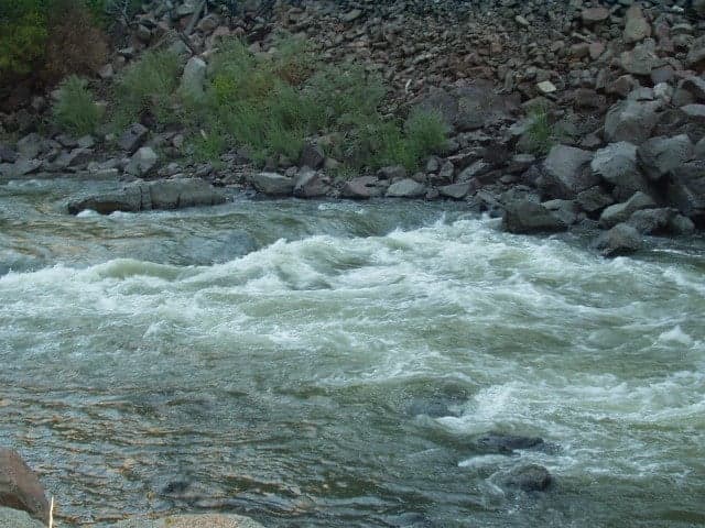 Trip report photo