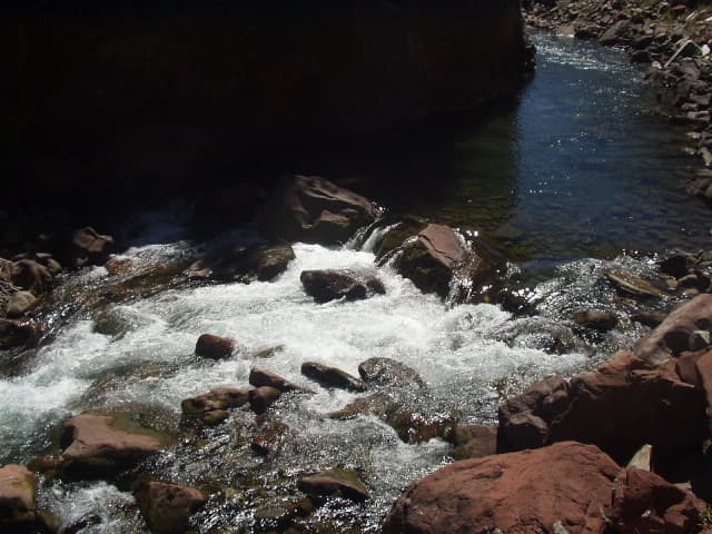 Trip report photo