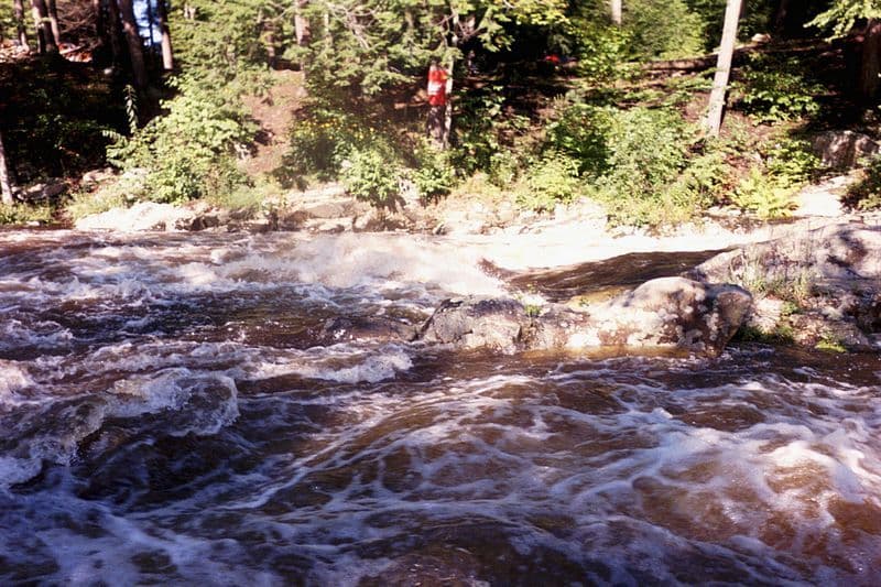 Trip report photo