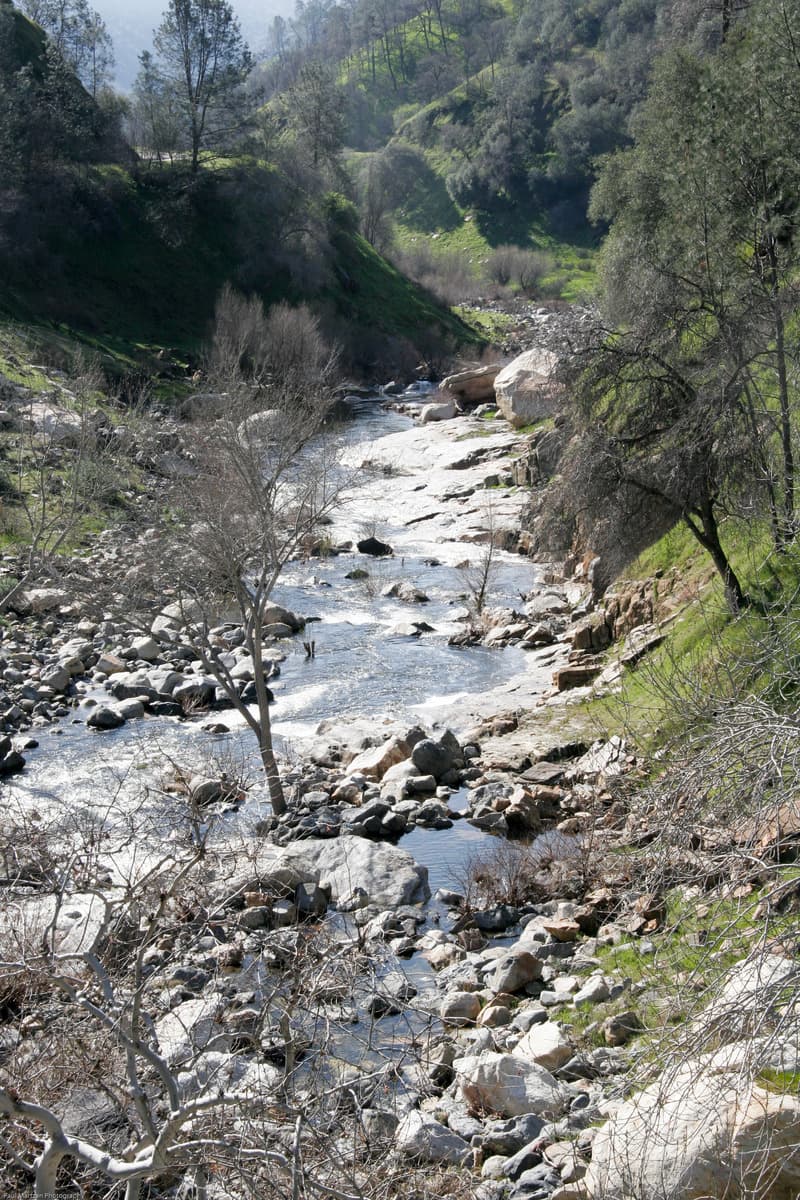 Take out: below Bridge