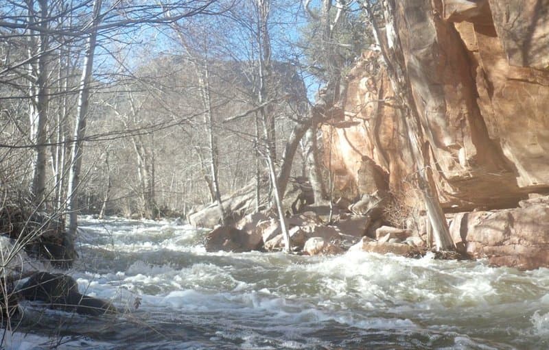 Trip report photo