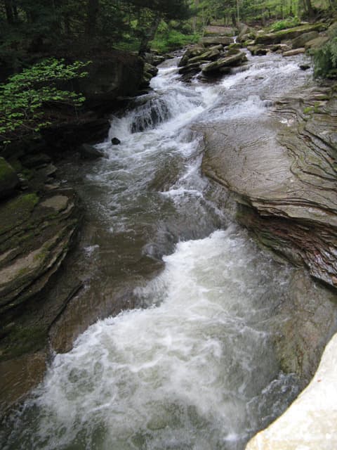 Trip report photo