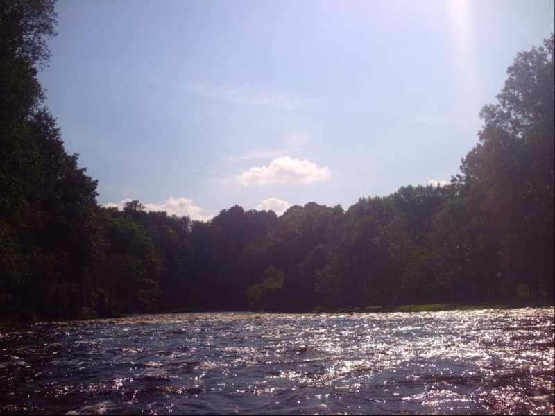 Trip report photo