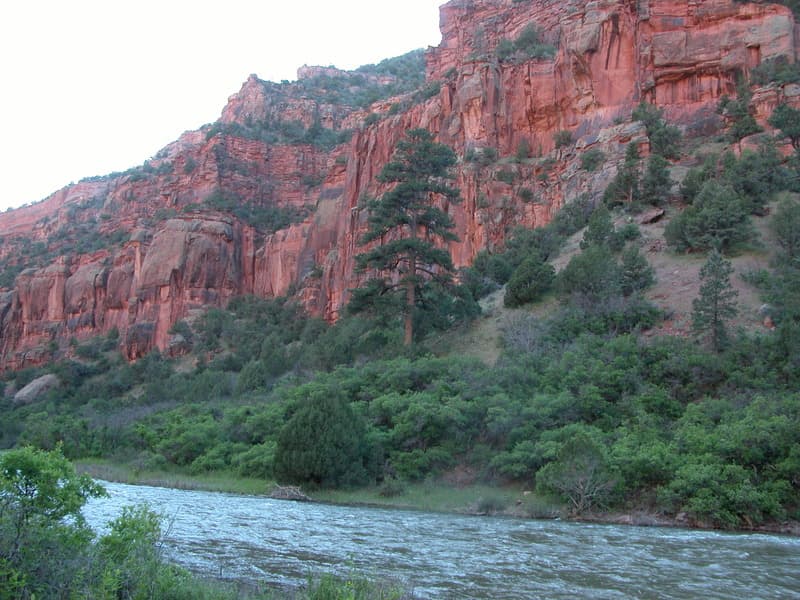 Dolores River Canyon