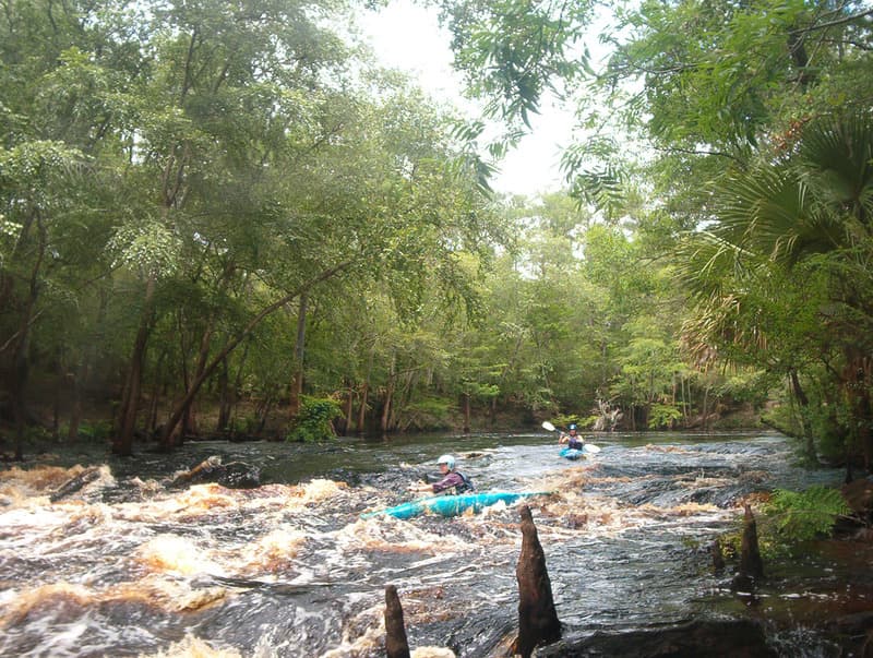 Trip report photo