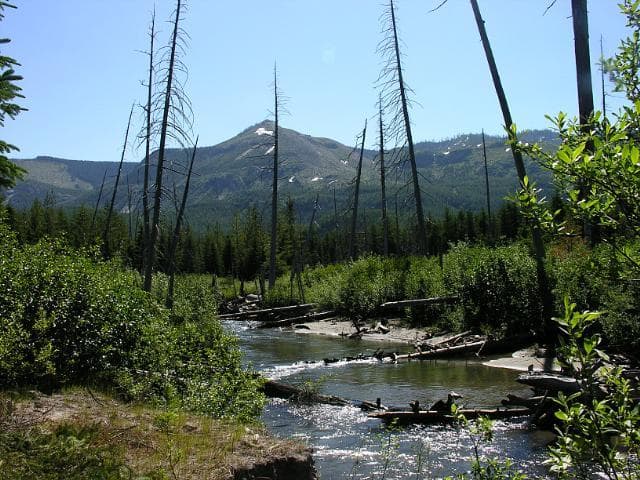 Trip report photo