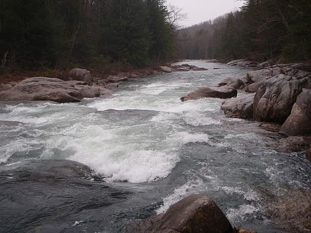 Resort Rapid