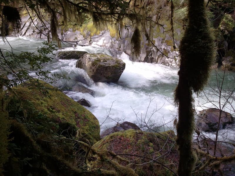 Trip report photo