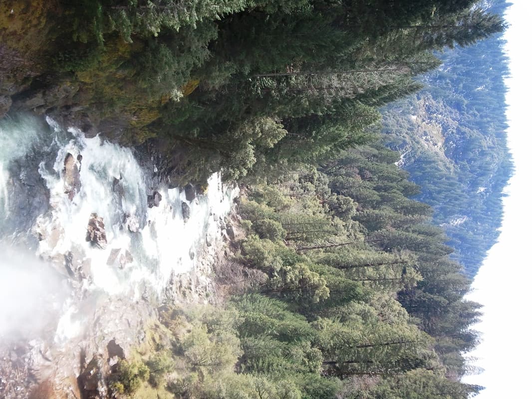 Trip report photo