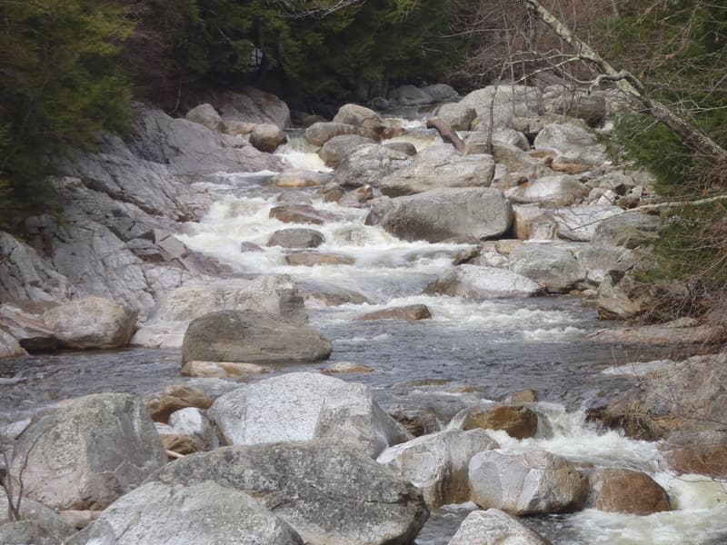 Trip report photo