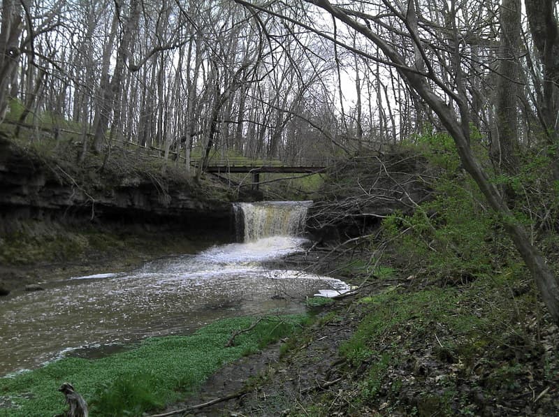 Trip report photo