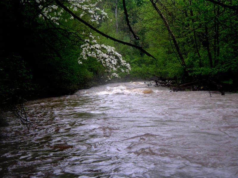 Entrance Rapid