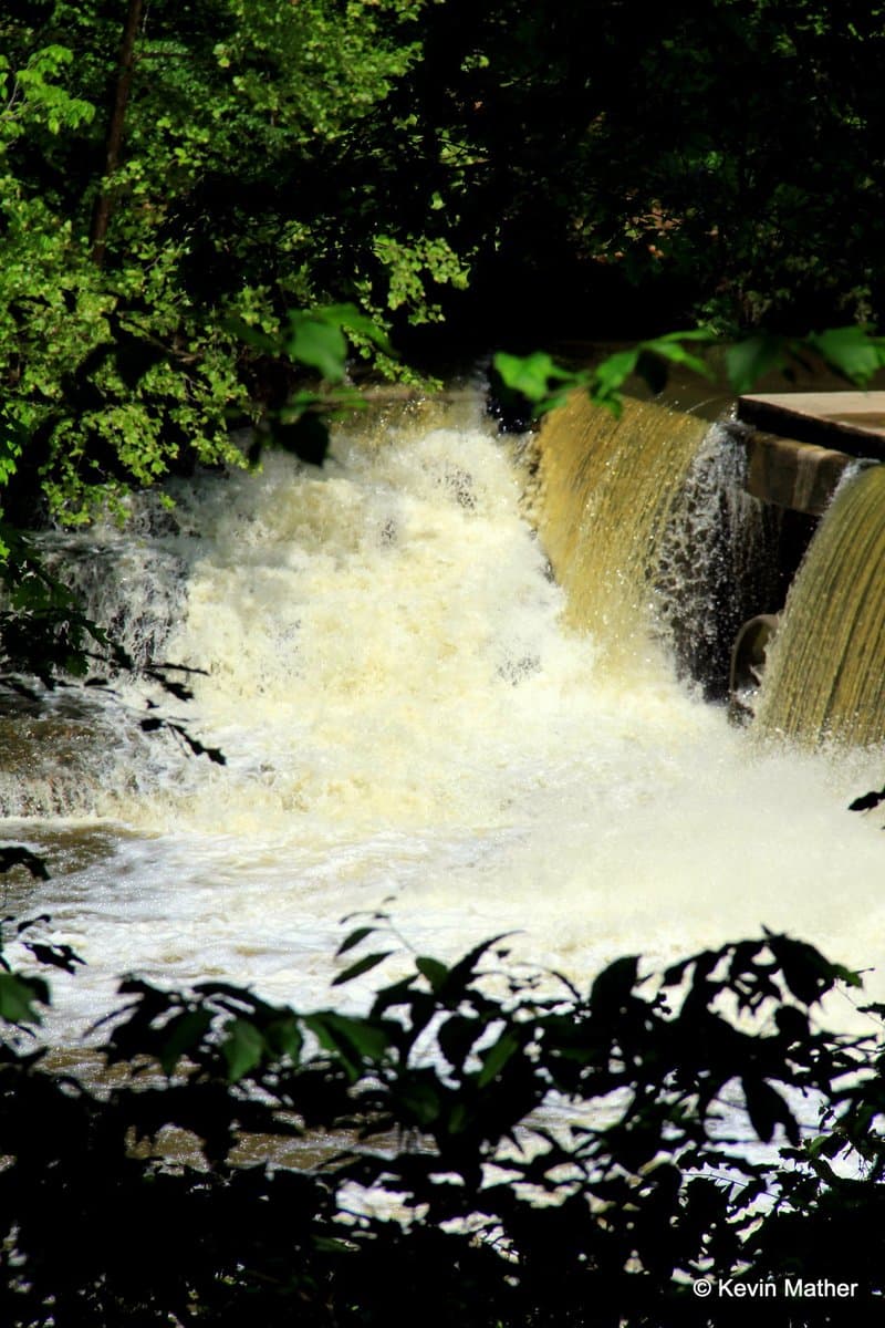 Dam Rapid