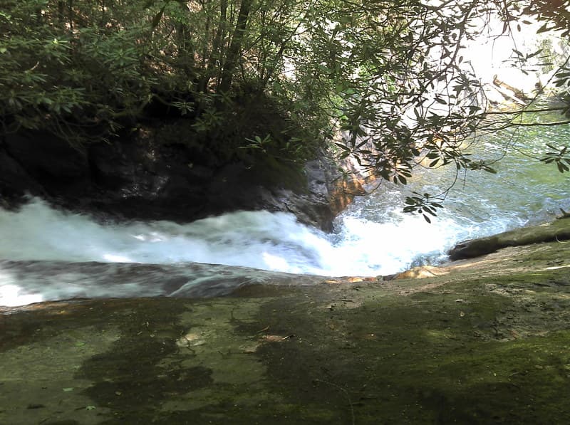 Trip report photo