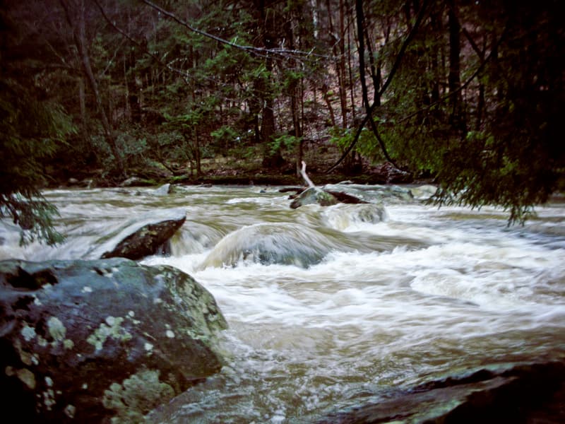 Trip report photo
