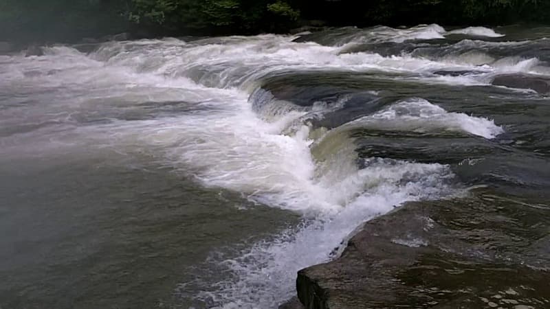 Trip report photo