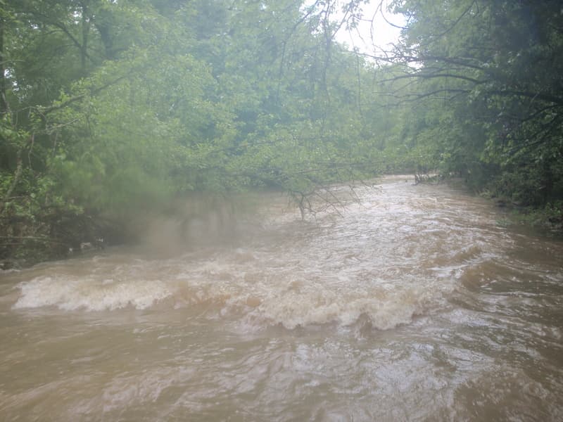 Flash Flood Rapids