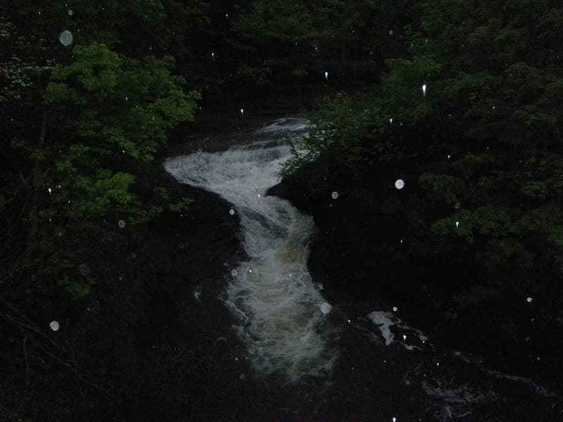 Trip report photo