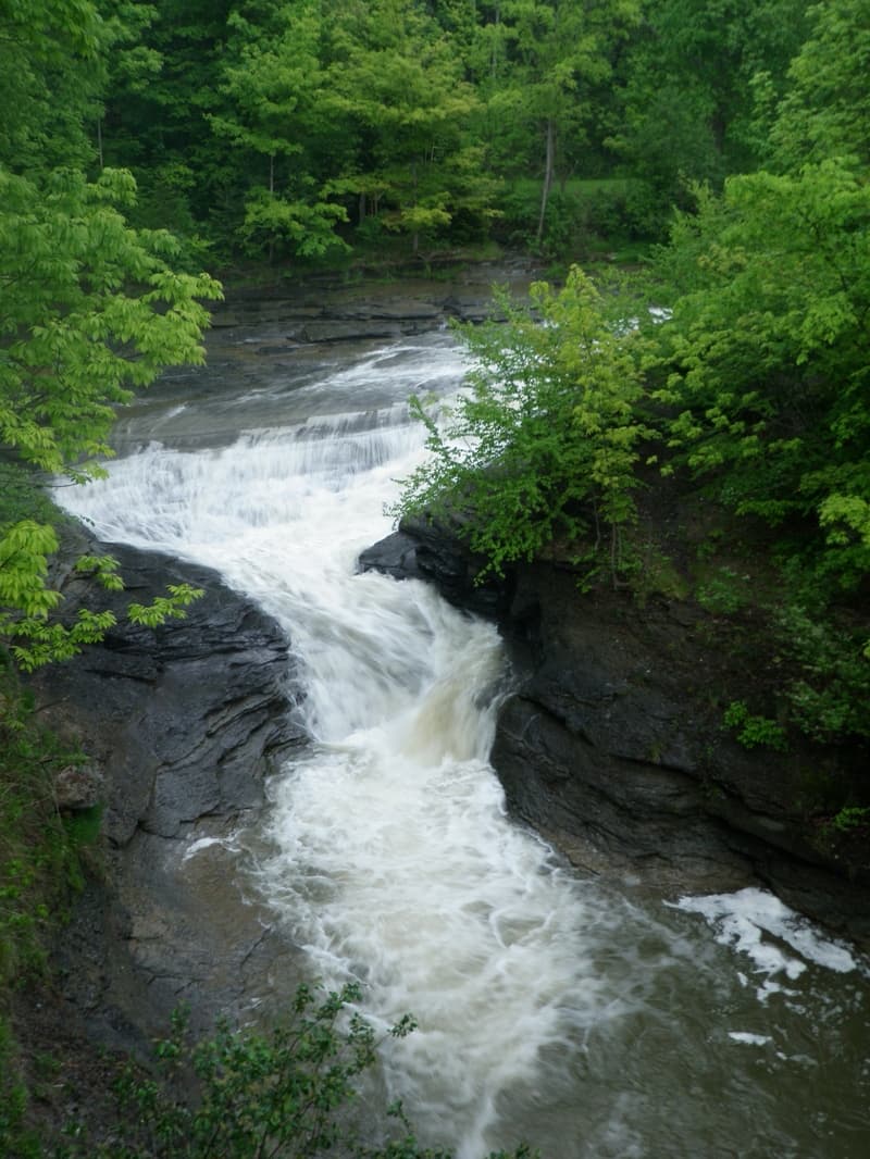 Trip report photo