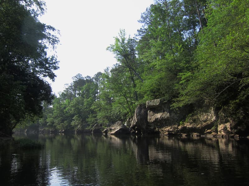Trip report photo