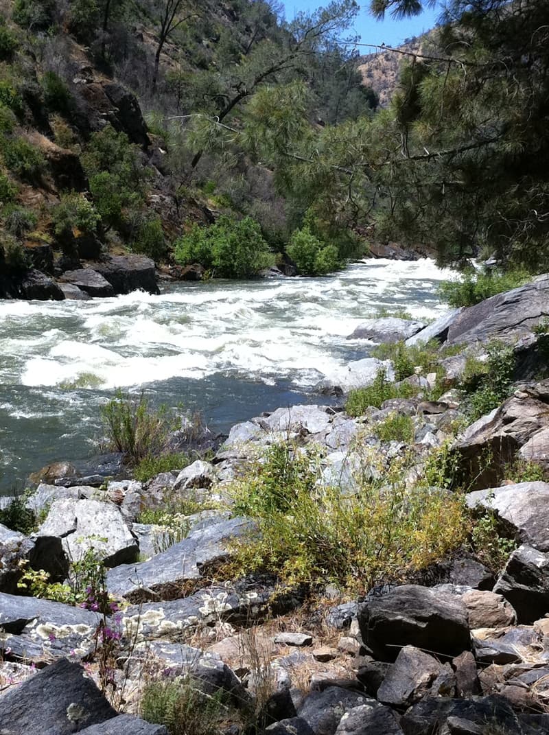 Trip report photo