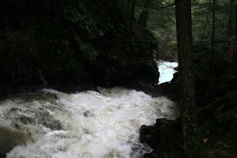Trip report photo