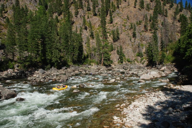 American Whitewater Staff and Friends