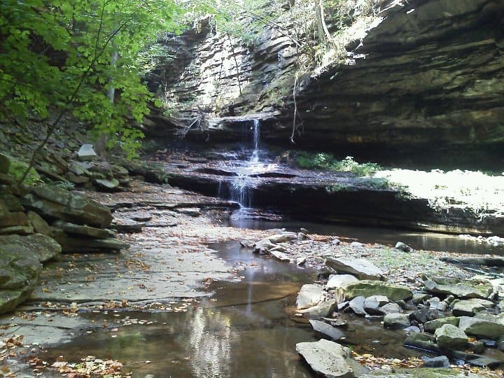 Trip report photo