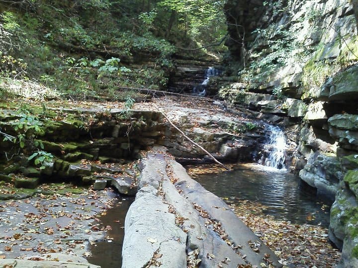 Trip report photo