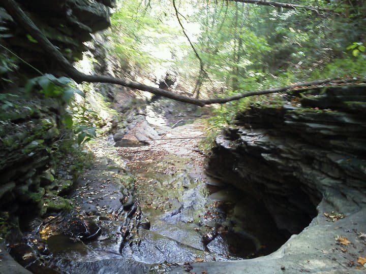 Trip report photo