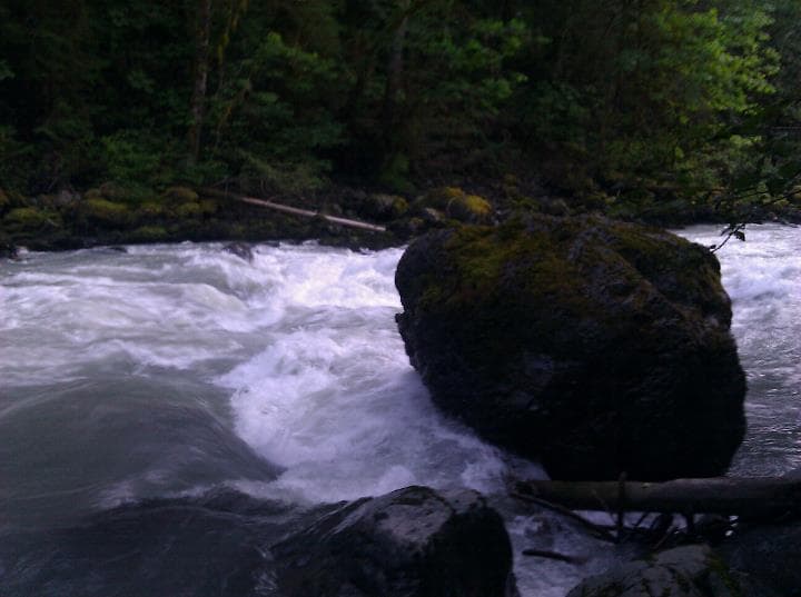 Trip report photo